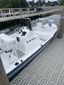 Sebastian Coastal Tarpon and Shark