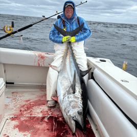 Bluefin