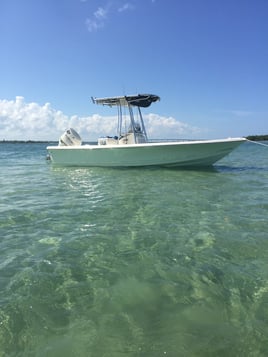 3 hour inshore adventure