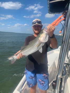 3 hour inshore adventure