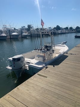 3 hour inshore adventure