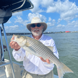 3 hour inshore adventure
