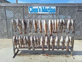4hr trip