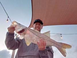 Half Day Trip – Inshore