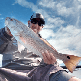 Half Day Trip – Inshore