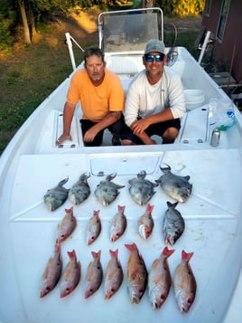 Half Day Trip – Nearshore