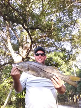 Snook Trip