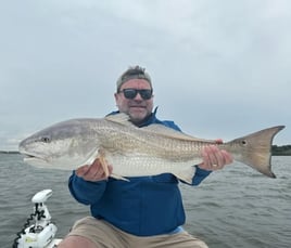 Inshore/nearshore Trips