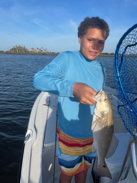 Half Day or Full Day Trip Inshore