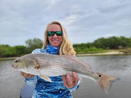 Half Day or Full Day Trip Inshore