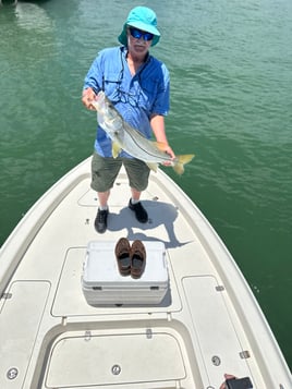 4hr inshore