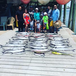All Inclusive 5 Hour Shared Trip