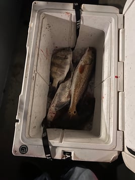 Flounder gigging