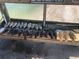 Flounder gigging