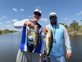 Everglades Fishing 