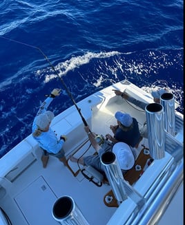 Reel Escapes A'u Nui 40' Cabo