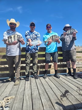 Inshore Family Fun