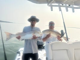 Family shark fishing 