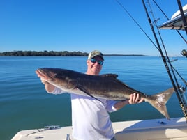 Family shark fishing 