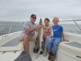 2 hr family shark fishing 