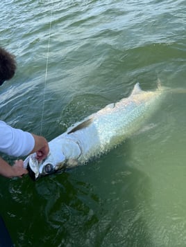 2 hr family shark fishing 