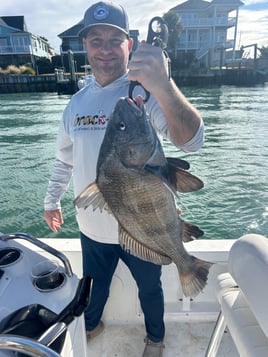 Half day inshore