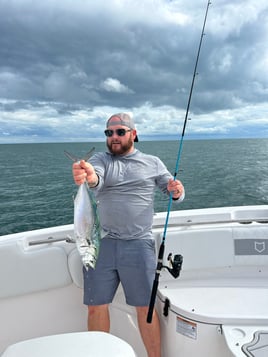 Half day inshore