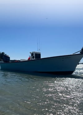 Tarpon Fishing Trip