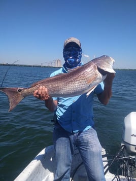 Redfish Fishing in San Antonio, Texas