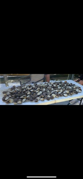 Scalloping (Easter egg hunt)