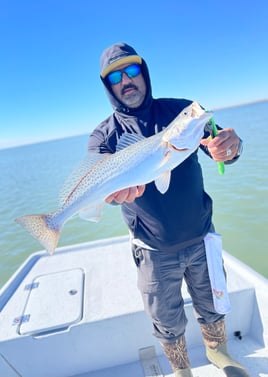 6 Hr Bay Trip (AM)