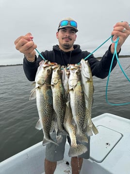 6 Hr Bay Trip (AM)