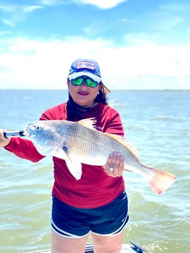 6 Hr Bay Trip (AM)