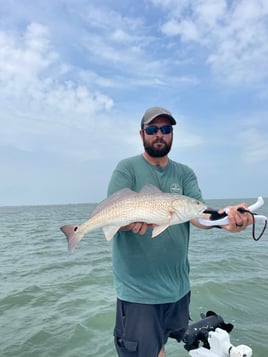 6 Hr Bay Trip (AM)