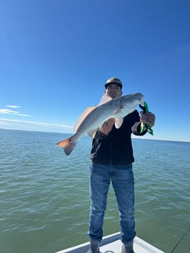 6 Hr Bay Trip (AM)