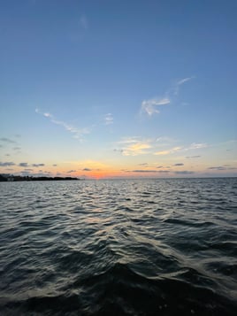 3 hr shelling/island trip 