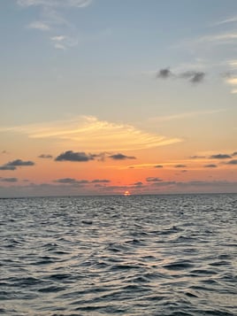 3 hr shelling/island trip 