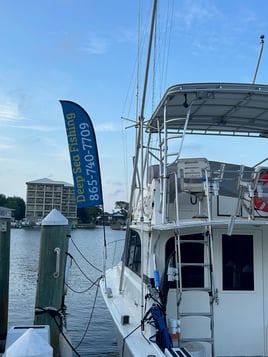 Sunset Dolphin Cruise