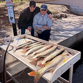 Half day inshore fishing