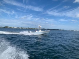 Reef and Wreck Fishing Adventure