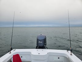  Reef and Wreck Fishing Adventure