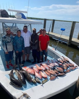 Half Day Trip – Snapper