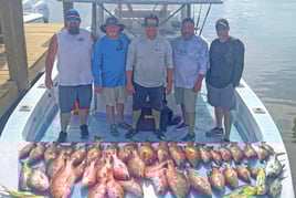 Half Day Trip – Snapper