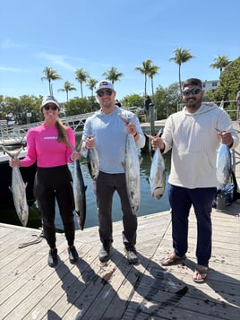 Halfday offshore