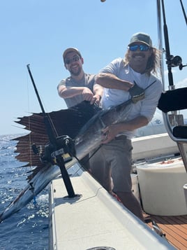 Halfday offshore