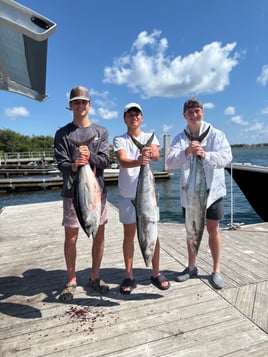 Halfday offshore