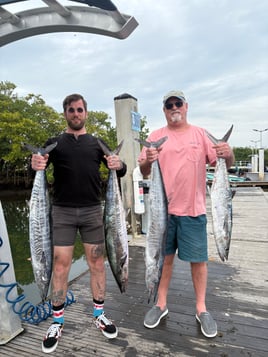 Halfday offshore