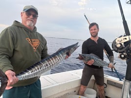Halfday offshore
