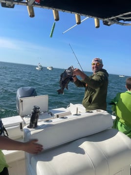 6-8 Hours Day Trip – Buzzards Bay