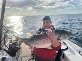 6-8 Hours Day Trip – Cape Cod Bay